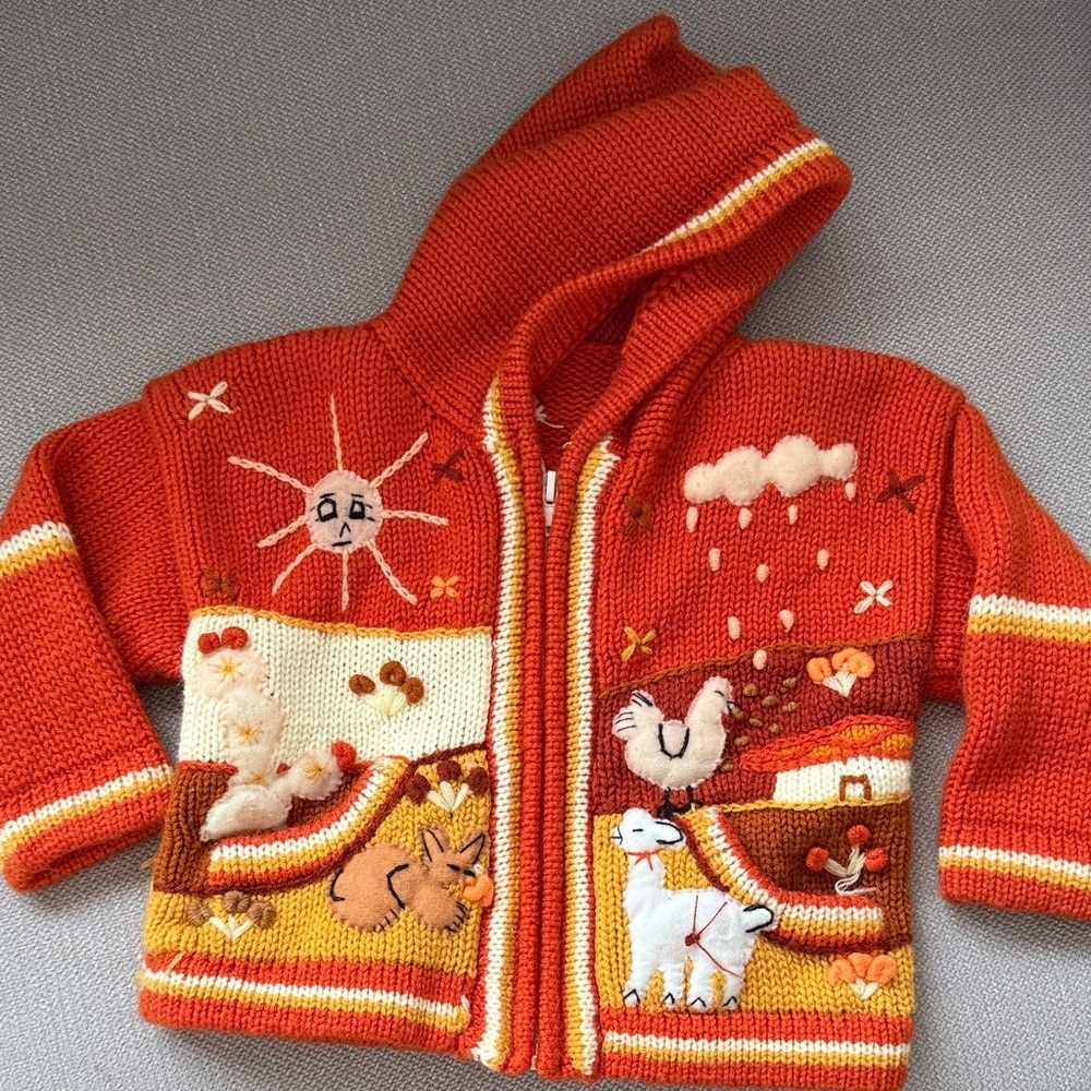 Embroidered Peruvian Wool orange Colorful Knit Children's Hoodie 12 M